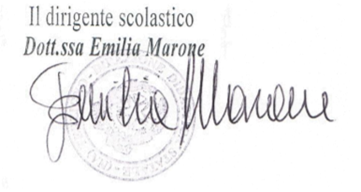 firma ds